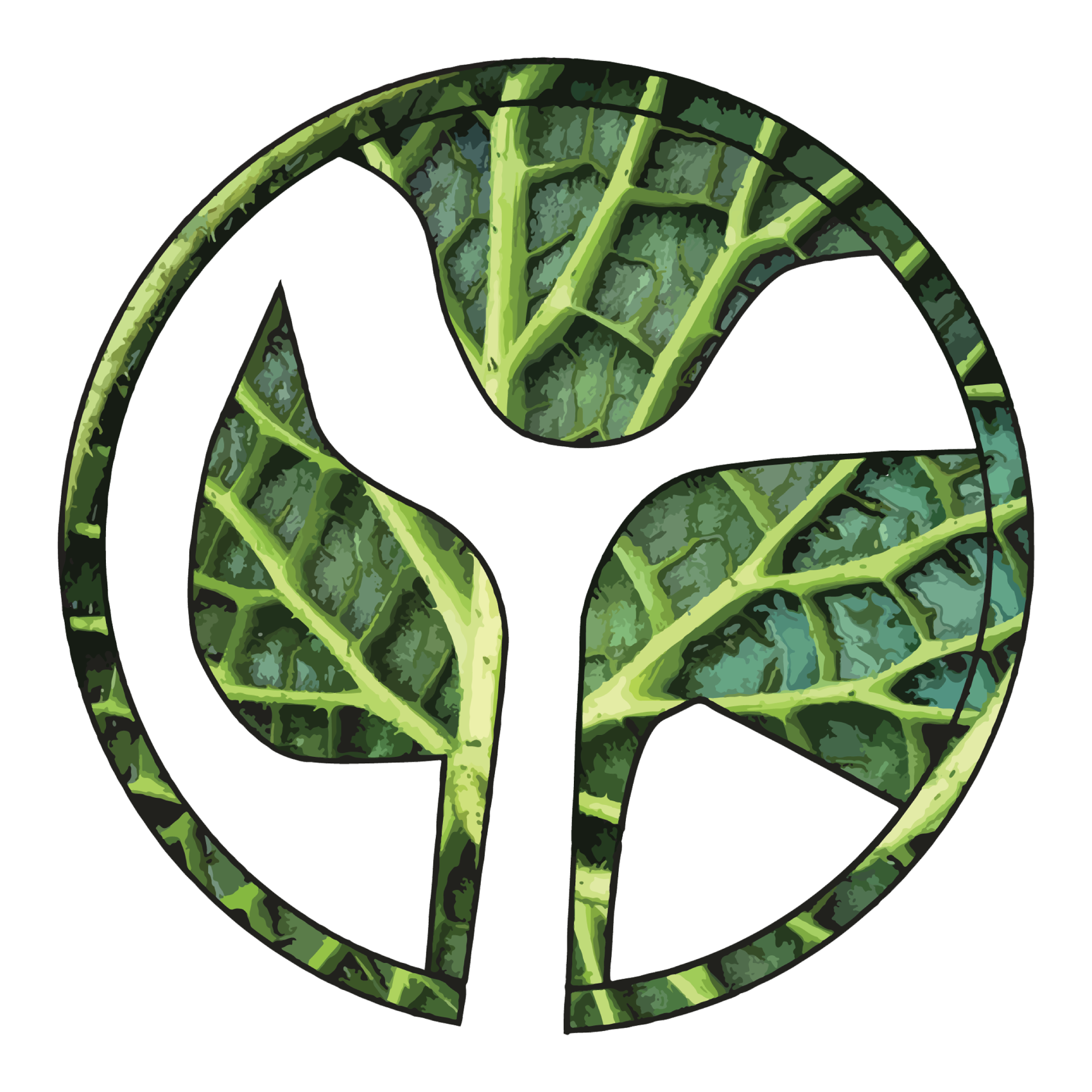 North park condominium Phnom Penh -LOGO- 